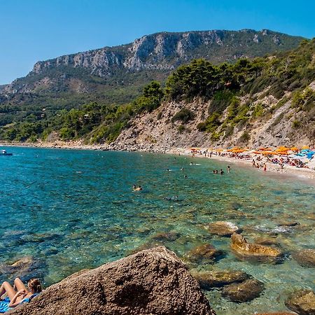 B&B Il Gabbiano Orbetello Dış mekan fotoğraf